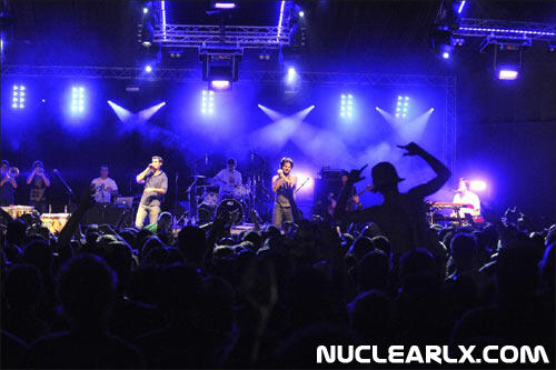 Cat Empire3