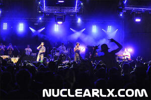 Cat Empire3